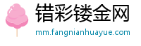 错彩镂金网